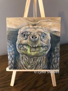 Critter Squares - Primrose CP e-Packet